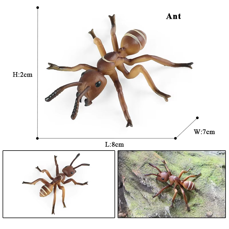 New Insect Animals Model Butterfly Bee Dragonfly Mantis Ant Snail Action Figures Jouet Collection Decor Kids Education Toy