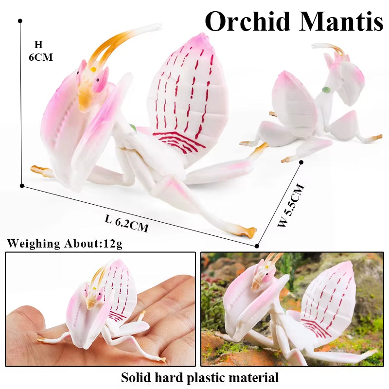 New Insect Animals Model Butterfly Bee Dragonfly Mantis Ant Snail Action Figures Jouet Collection Decor Kids Education Toy