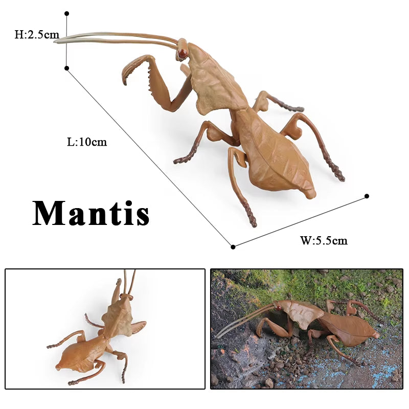 New Insect Animals Model Butterfly Bee Dragonfly Mantis Ant Snail Action Figures Jouet Collection Decor Kids Education Toy