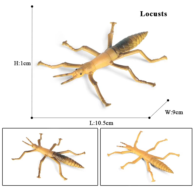 New Insect Animals Model Butterfly Bee Dragonfly Mantis Ant Snail Action Figures Jouet Collection Decor Kids Education Toy