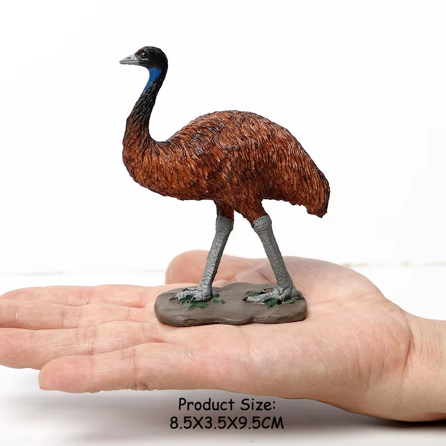 Wild Birds Animals Turkey Macaw Owl Eagles Ostrich Pelican Figurines Toy Animal Action Figure Learning Education Birds Gifts