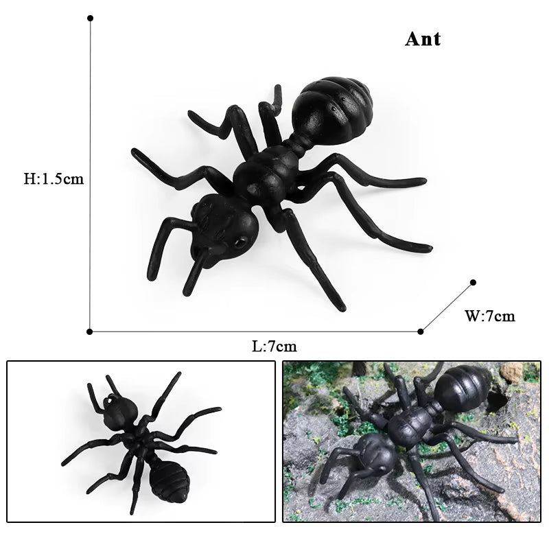 New Insect Animals Model Butterfly Bee Dragonfly Mantis Ant Snail Action Figures Jouet Collection Decor Kids Education Toy