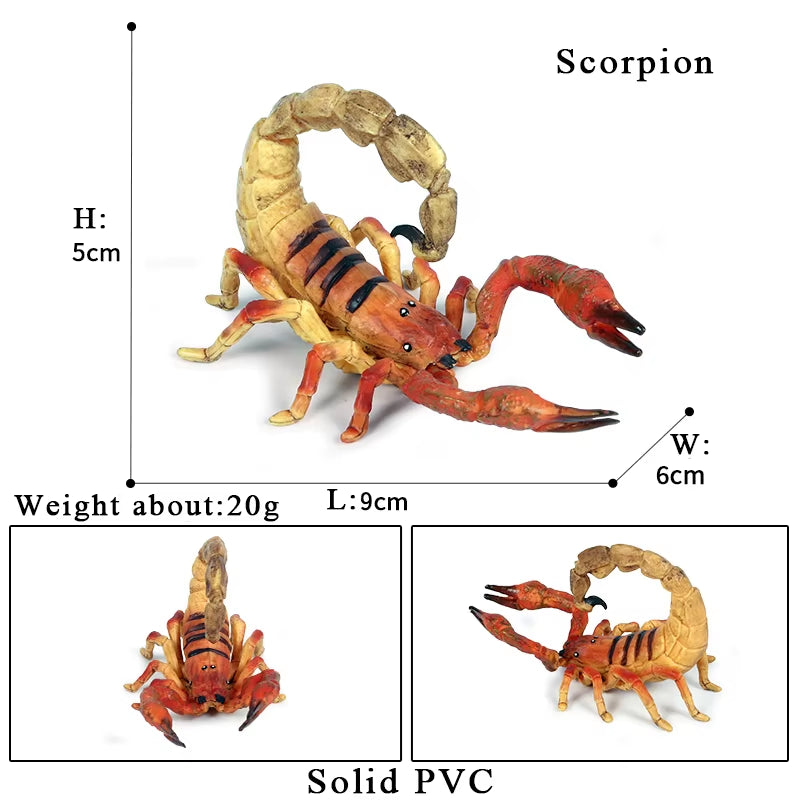 New Insect Animals Model Butterfly Bee Dragonfly Mantis Ant Snail Action Figures Jouet Collection Decor Kids Education Toy