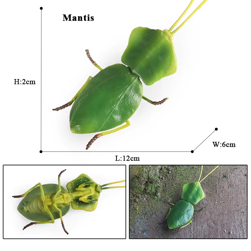 New Insect Animals Model Butterfly Bee Dragonfly Mantis Ant Snail Action Figures Jouet Collection Decor Kids Education Toy