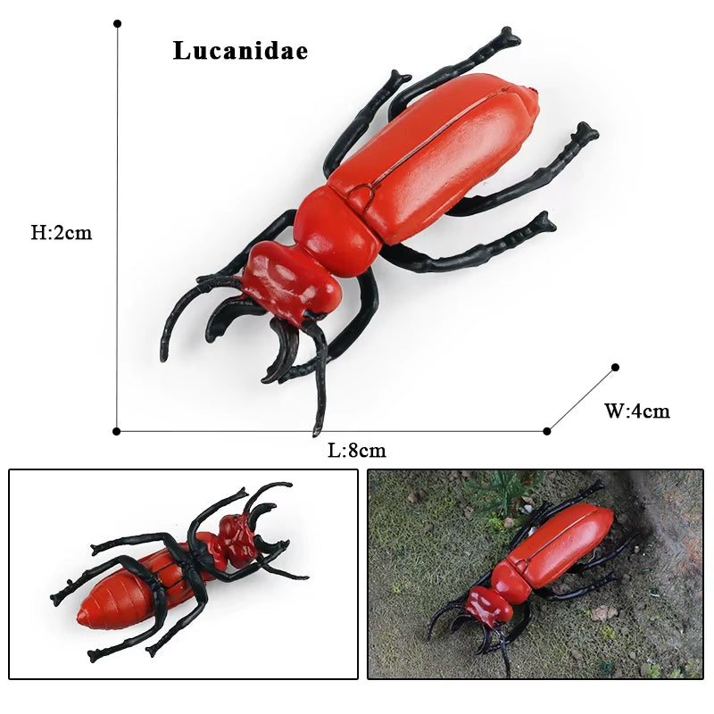 New Insect Animals Model Butterfly Bee Dragonfly Mantis Ant Snail Action Figures Jouet Collection Decor Kids Education Toy