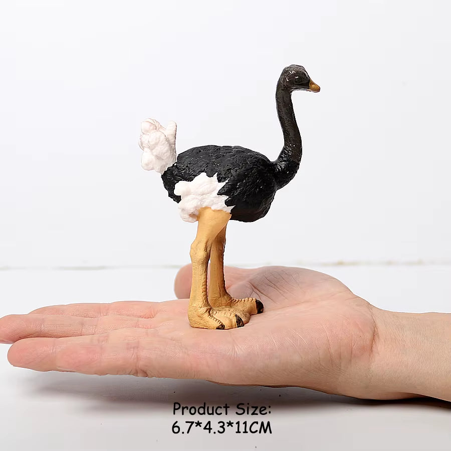 Wild Birds Animals Turkey Macaw Owl Eagles Ostrich Pelican Figurines Toy Animal Action Figure Learning Education Birds Gifts