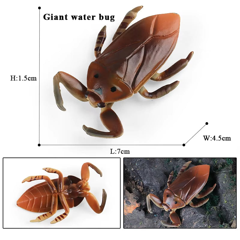 New Insect Animals Model Butterfly Bee Dragonfly Mantis Ant Snail Action Figures Jouet Collection Decor Kids Education Toy