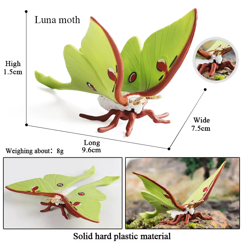 New Insect Animals Model Butterfly Bee Dragonfly Mantis Ant Snail Action Figures Jouet Collection Decor Kids Education Toy