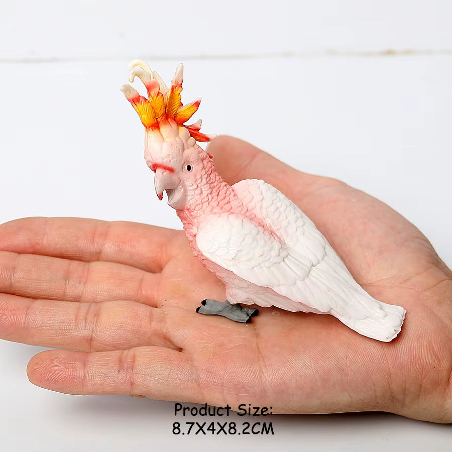 Wild Birds Animals Turkey Macaw Owl Eagles Ostrich Pelican Figurines Toy Animal Action Figure Learning Education Birds Gifts