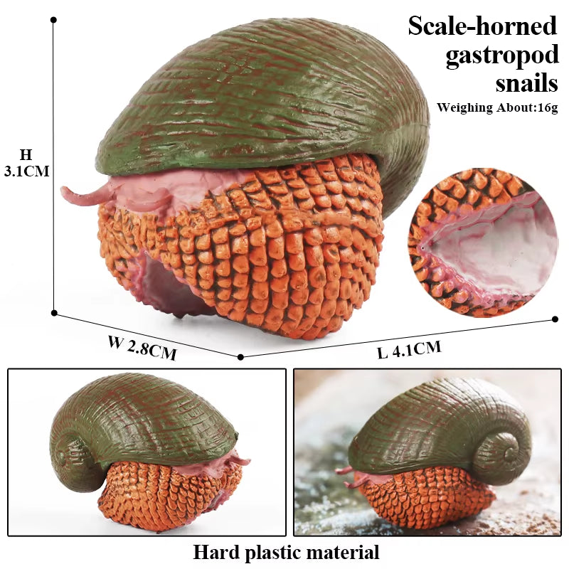 New Insect Animals Model Butterfly Bee Dragonfly Mantis Ant Snail Action Figures Jouet Collection Decor Kids Education Toy