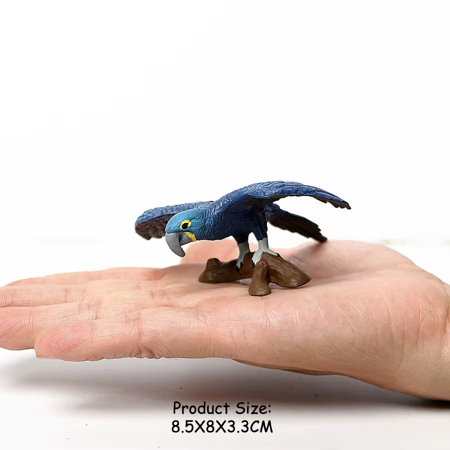 Wild Birds Animals Turkey Macaw Owl Eagles Ostrich Pelican Figurines Toy Animal Action Figure Learning Education Birds Gifts
