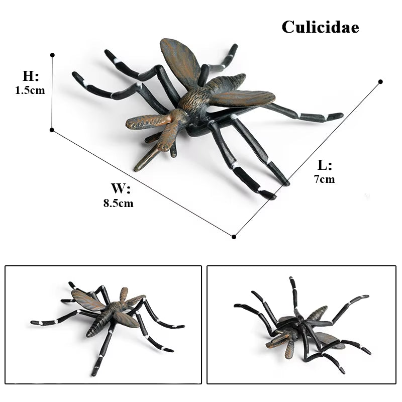 New Insect Animals Model Butterfly Bee Dragonfly Mantis Ant Snail Action Figures Jouet Collection Decor Kids Education Toy