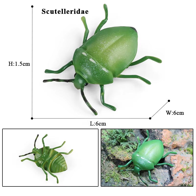 New Insect Animals Model Butterfly Bee Dragonfly Mantis Ant Snail Action Figures Jouet Collection Decor Kids Education Toy