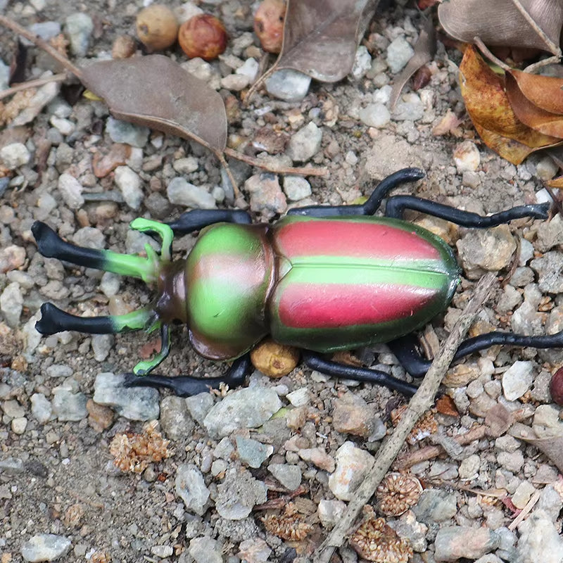 New Insect Animals Model Butterfly Bee Dragonfly Mantis Ant Snail Action Figures Jouet Collection Decor Kids Education Toy