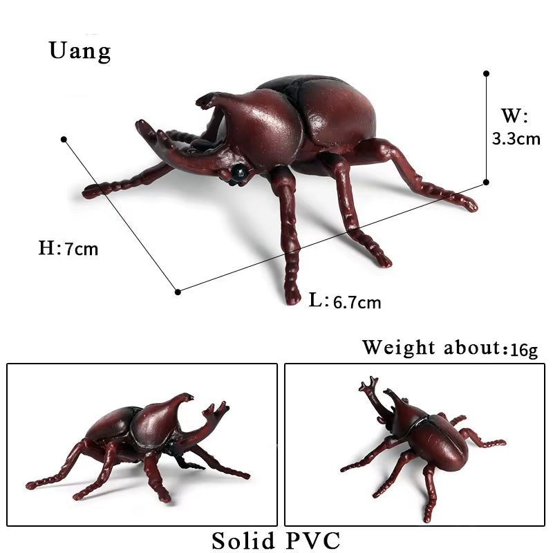 New Insect Animals Model Butterfly Bee Dragonfly Mantis Ant Snail Action Figures Jouet Collection Decor Kids Education Toy