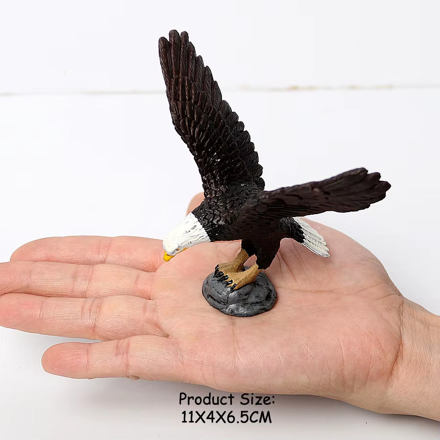 Wild Birds Animals Turkey Macaw Owl Eagles Ostrich Pelican Figurines Toy Animal Action Figure Learning Education Birds Gifts