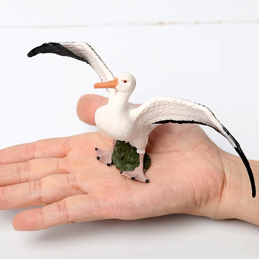 Wild Birds Animals Turkey Macaw Owl Eagles Ostrich Pelican Figurines Toy Animal Action Figure Learning Education Birds Gifts