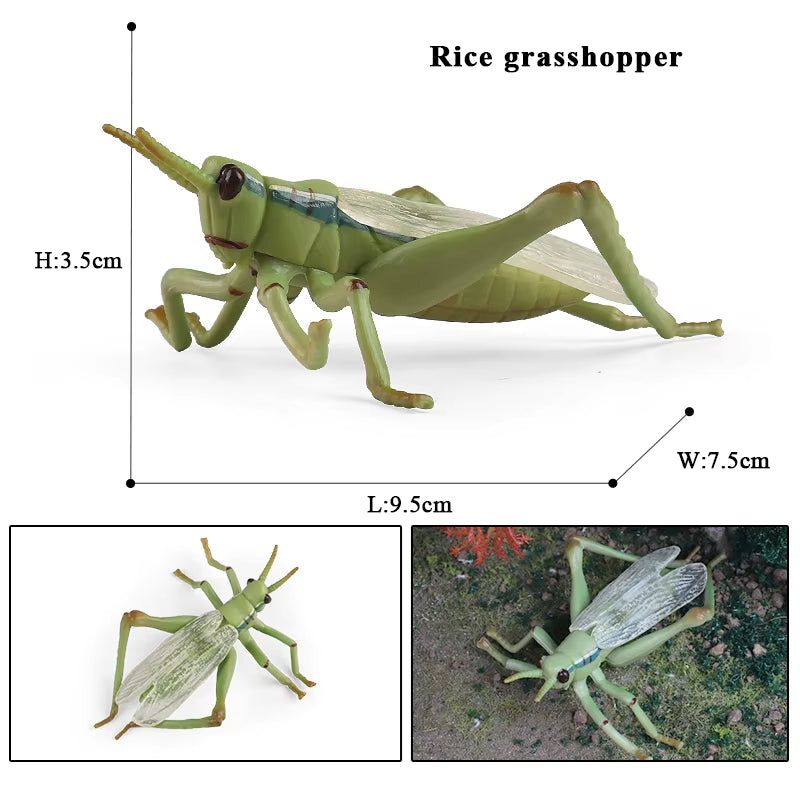 New Insect Animals Model Butterfly Bee Dragonfly Mantis Ant Snail Action Figures Jouet Collection Decor Kids Education Toy