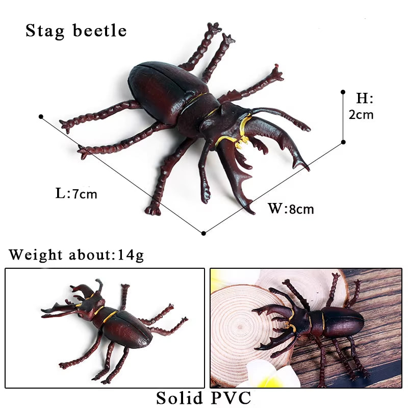 New Insect Animals Model Butterfly Bee Dragonfly Mantis Ant Snail Action Figures Jouet Collection Decor Kids Education Toy