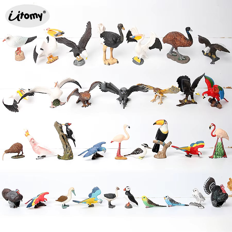 Wild Birds Animals Turkey Macaw Owl Eagles Ostrich Pelican Figurines Toy Animal Action Figure Learning Education Birds Gifts