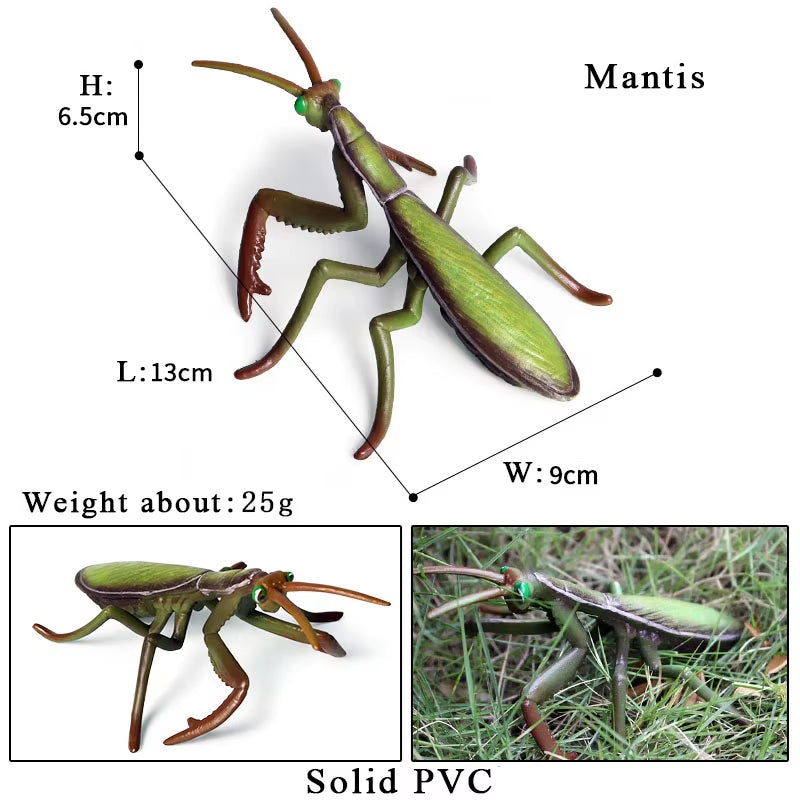 New Insect Animals Model Butterfly Bee Dragonfly Mantis Ant Snail Action Figures Jouet Collection Decor Kids Education Toy