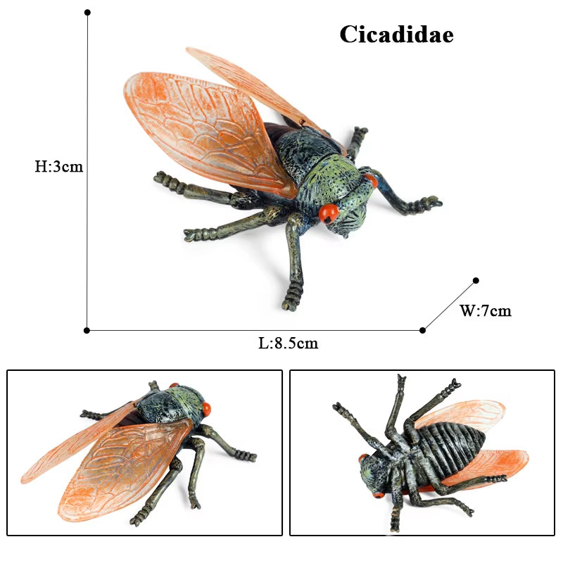 New Insect Animals Model Butterfly Bee Dragonfly Mantis Ant Snail Action Figures Jouet Collection Decor Kids Education Toy