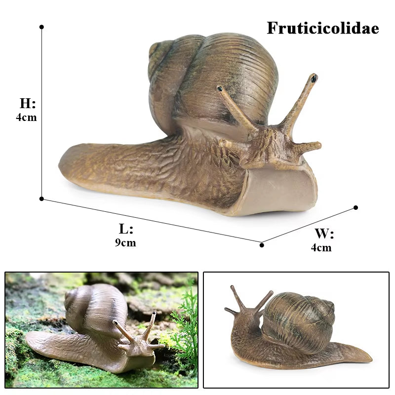 New Insect Animals Model Butterfly Bee Dragonfly Mantis Ant Snail Action Figures Jouet Collection Decor Kids Education Toy