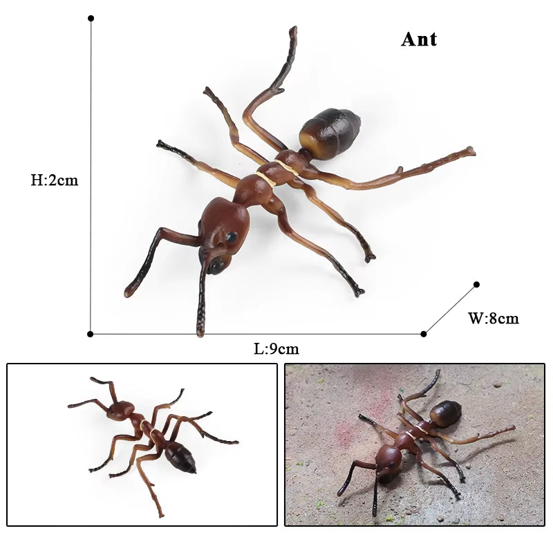 New Insect Animals Model Butterfly Bee Dragonfly Mantis Ant Snail Action Figures Jouet Collection Decor Kids Education Toy