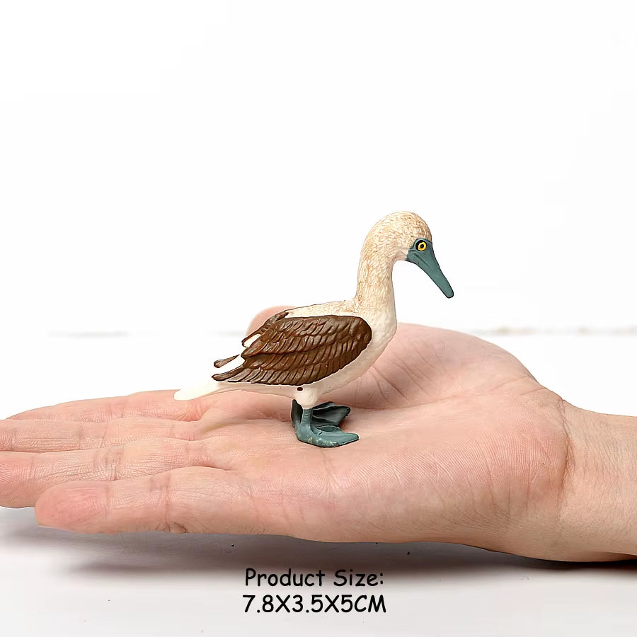 Wild Birds Animals Turkey Macaw Owl Eagles Ostrich Pelican Figurines Toy Animal Action Figure Learning Education Birds Gifts