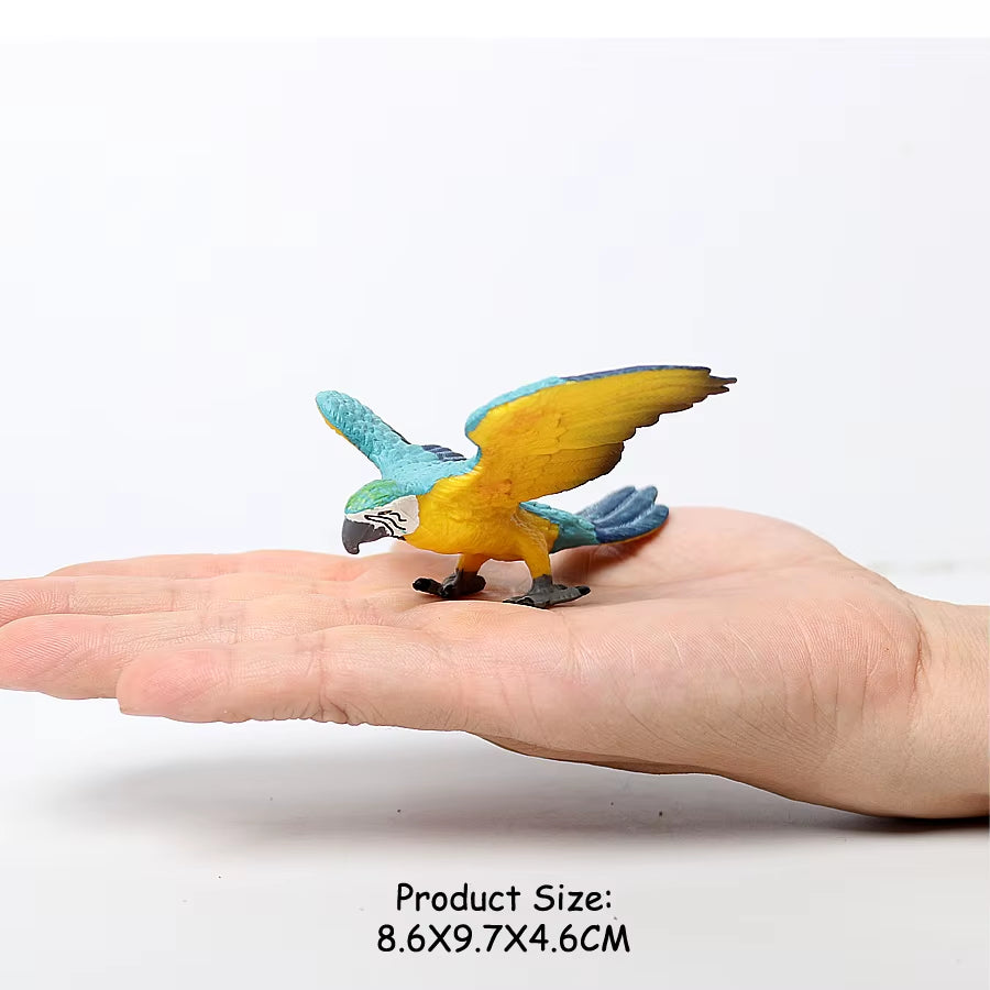Wild Birds Animals Turkey Macaw Owl Eagles Ostrich Pelican Figurines Toy Animal Action Figure Learning Education Birds Gifts