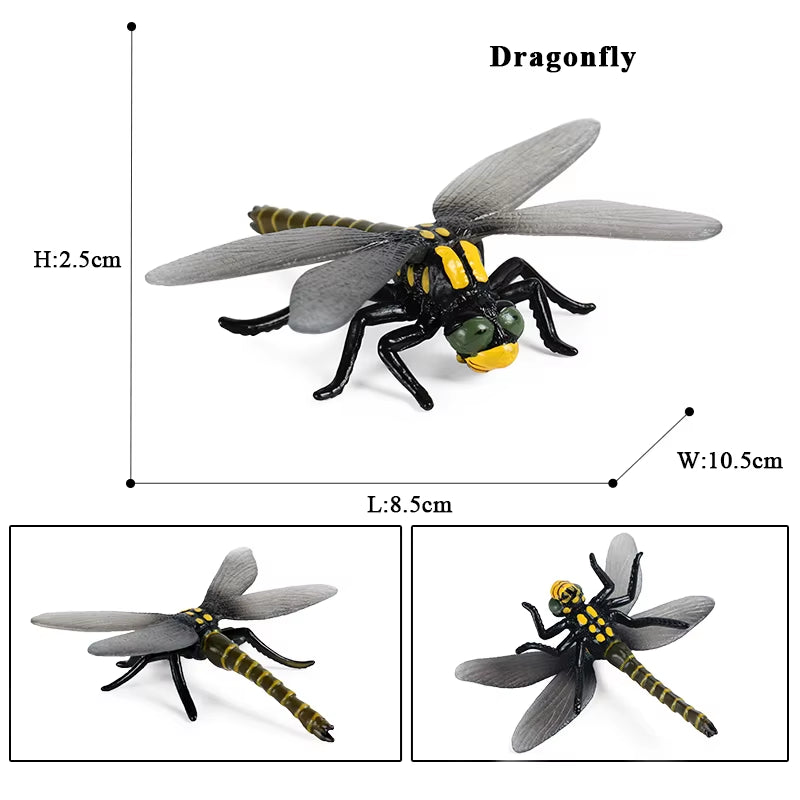 New Insect Animals Model Butterfly Bee Dragonfly Mantis Ant Snail Action Figures Jouet Collection Decor Kids Education Toy