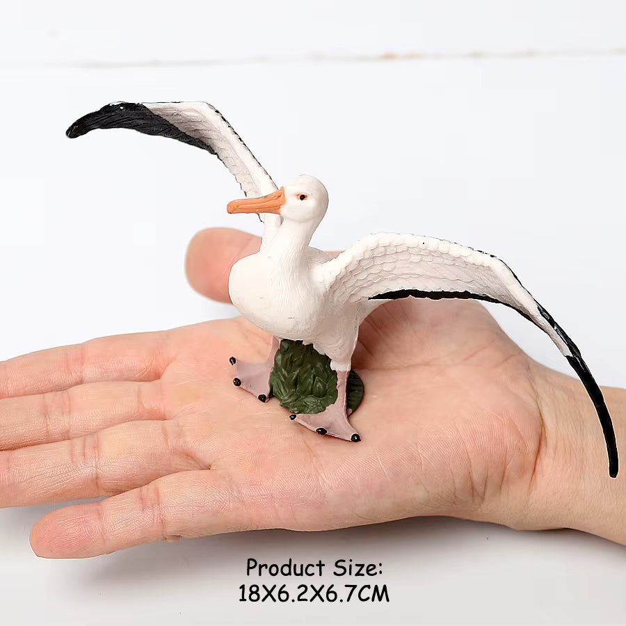 Wild Birds Animals Turkey Macaw Owl Eagles Ostrich Pelican Figurines Toy Animal Action Figure Learning Education Birds Gifts