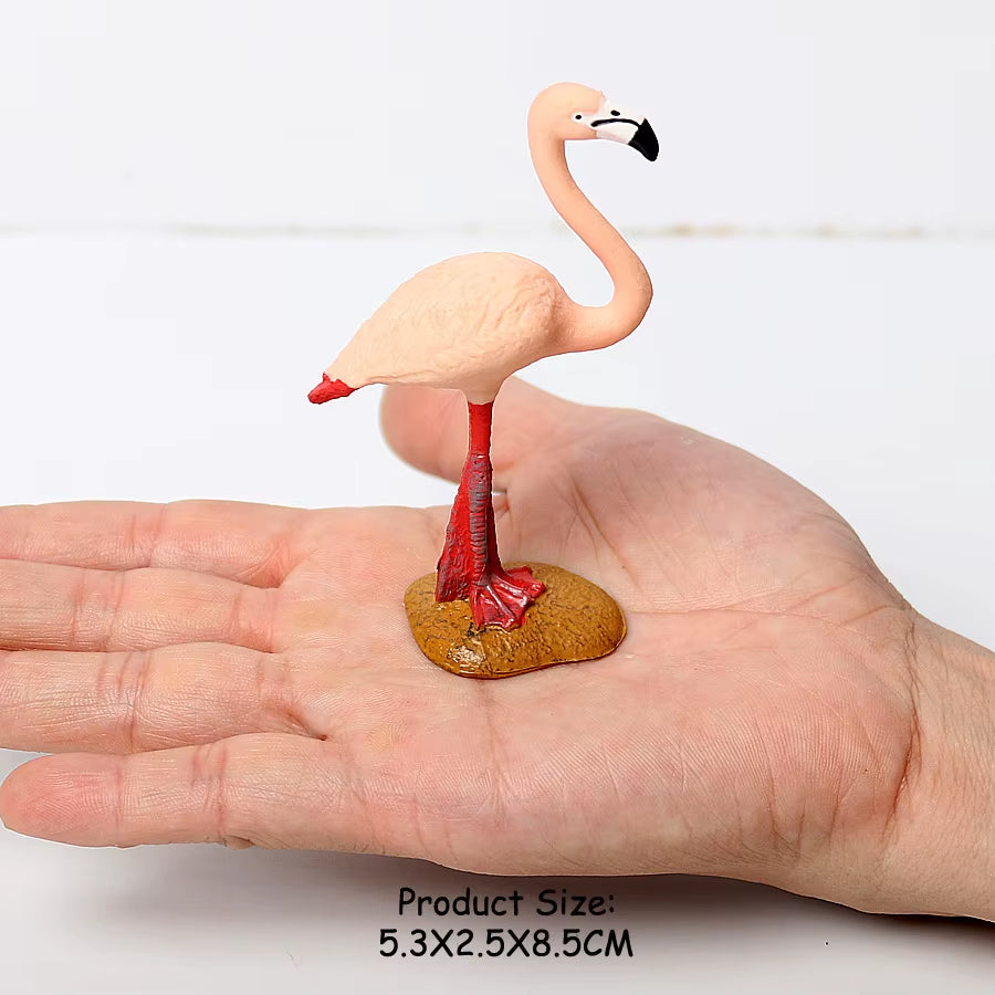 Wild Birds Animals Turkey Macaw Owl Eagles Ostrich Pelican Figurines Toy Animal Action Figure Learning Education Birds Gifts