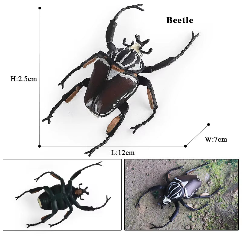 New Insect Animals Model Butterfly Bee Dragonfly Mantis Ant Snail Action Figures Jouet Collection Decor Kids Education Toy