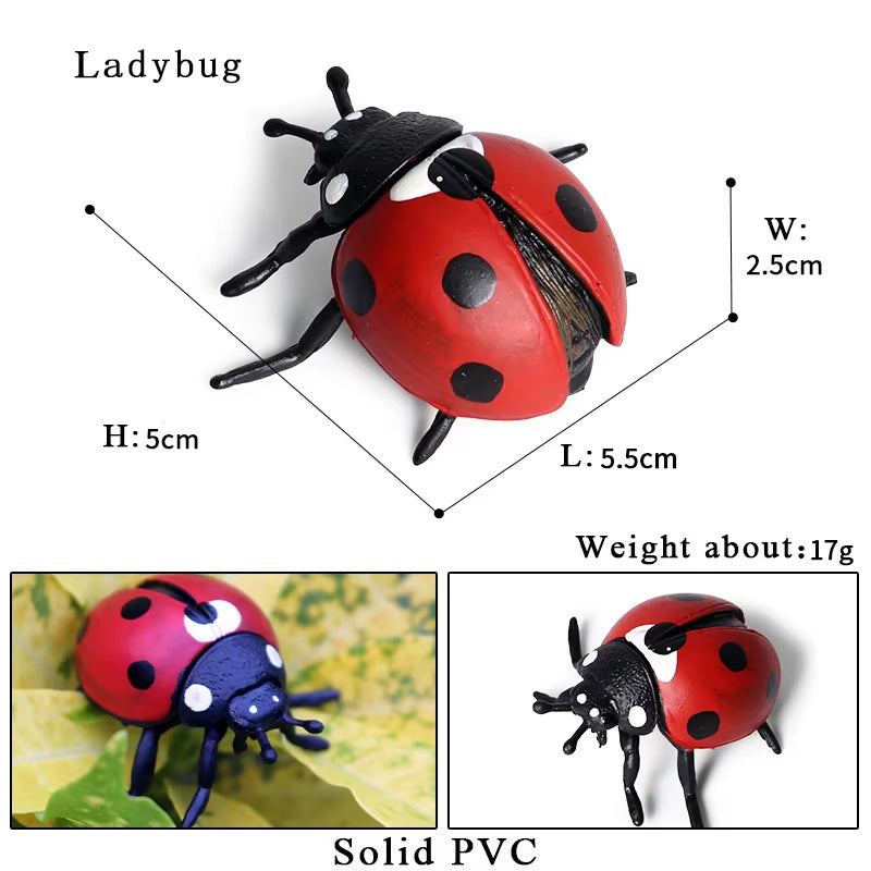 New Insect Animals Model Butterfly Bee Dragonfly Mantis Ant Snail Action Figures Jouet Collection Decor Kids Education Toy